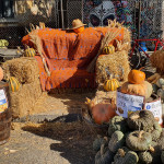 BĂRBAȚI PE MĂTĂSARI