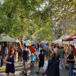 BĂRBAȚI PE MĂTĂSARI