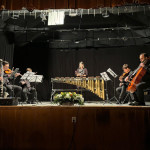 ECHOES - FESTIVALUL INTERNAȚIONAL AUREL STROE