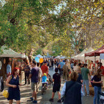 BĂRBAȚI PE MĂTĂSARI