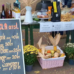 BAZAR DE COTROCENI