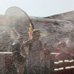 BUCHAREST SCIENCE FESTIVAL