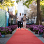 LES FILMS DE CANNES À BUCAREST